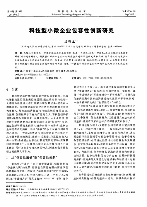 科技型小微企业包容性创新研究