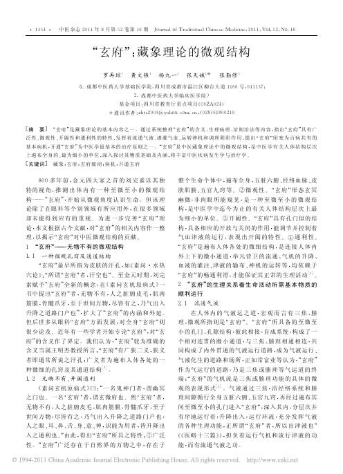 _玄府_藏象理论的微观结构