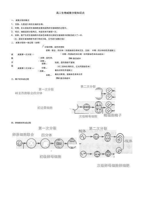 (完整word版)减数分裂知识点总结,推荐文档