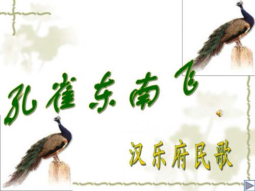 孔雀东南飞2
