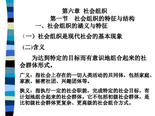 第六章  社会组织(简) 社会学教程 教学课件