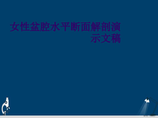 女性盆腔水平断面解剖演示文稿