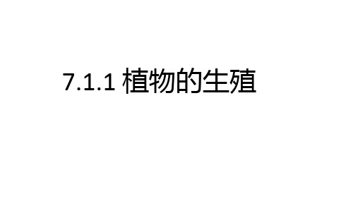 植物的生殖 课件 人教版八年级生物下册