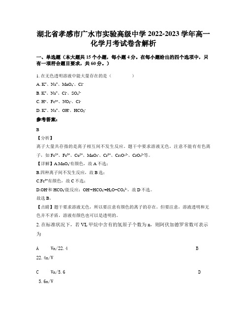 湖北省孝感市广水市实验高级中学2022-2023学年高一化学月考试卷含解析