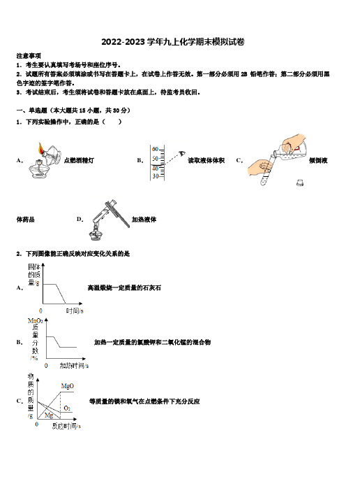 2022-2023学年上海外国语大附属外国语学校化学九年级第一学期期末检测试题含解析