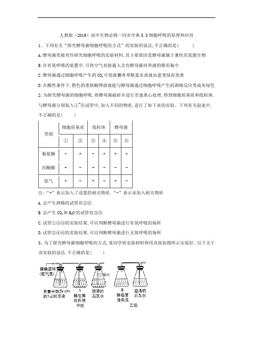 2019-2020学年高中生物人教版(2019)必修一同步学典：5.3细胞呼吸的原理和应用 Word版含答案