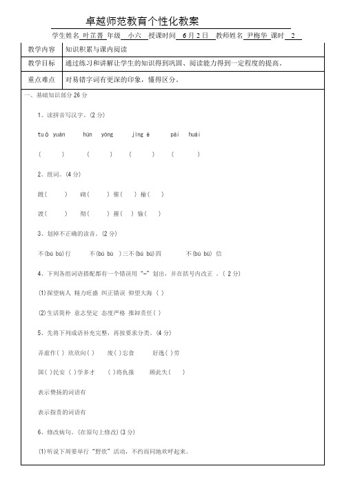 卓越师范教育教案模板叶芷菁 (6)