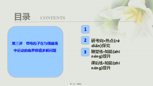 高考物理一轮复习第九章磁场第三讲带电粒子在匀强磁场中运动的临界极值多解问题课件