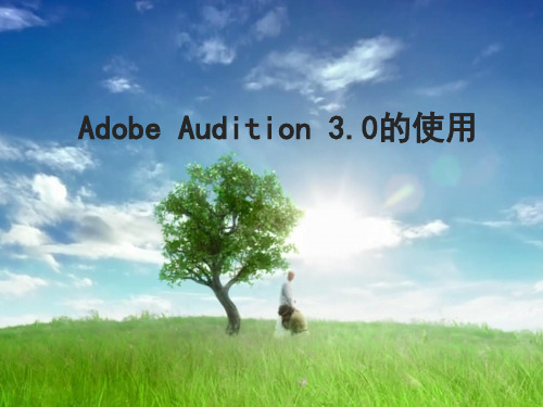 Audition_3.0的使用