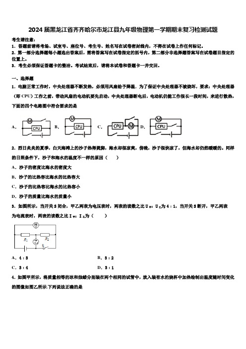 2024届黑龙江省齐齐哈尔市龙江县九年级物理第一学期期末复习检测试题含解析