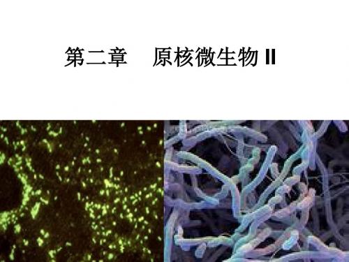 第二章原核微生物II