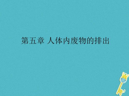 七年级生物下册第4单元第5章人体内代谢废物的排出课件(新版)新人教版