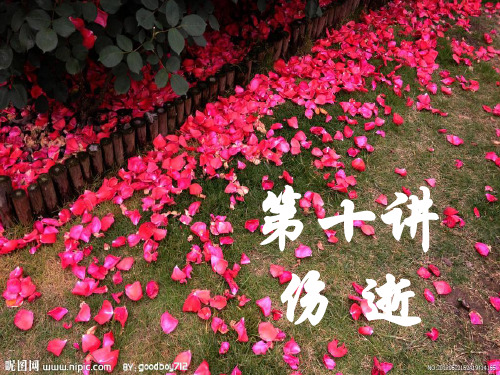 第十讲《伤逝》