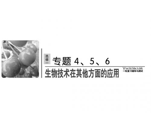 高考生物一轮复习课件选修1 生物技术实践4.6