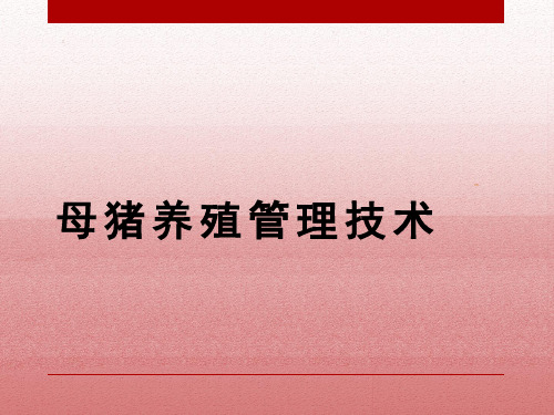 母猪养殖管理技术