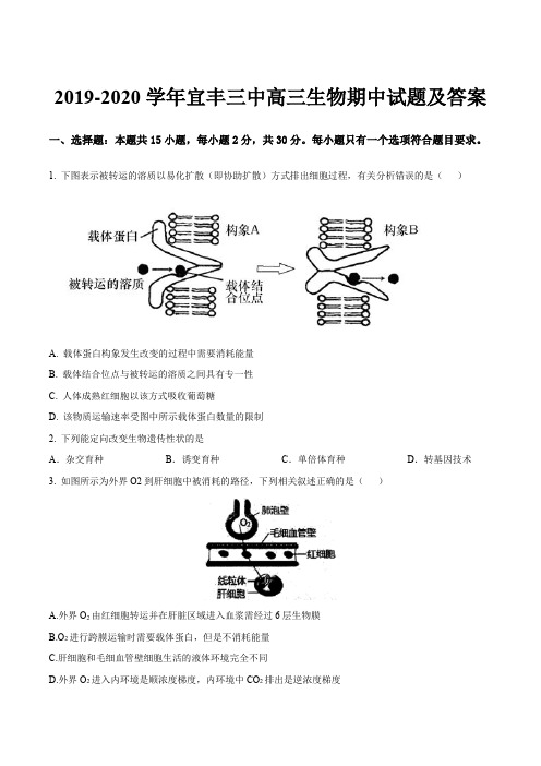 2019-2020学年宜丰三中高三生物期中试题及答案