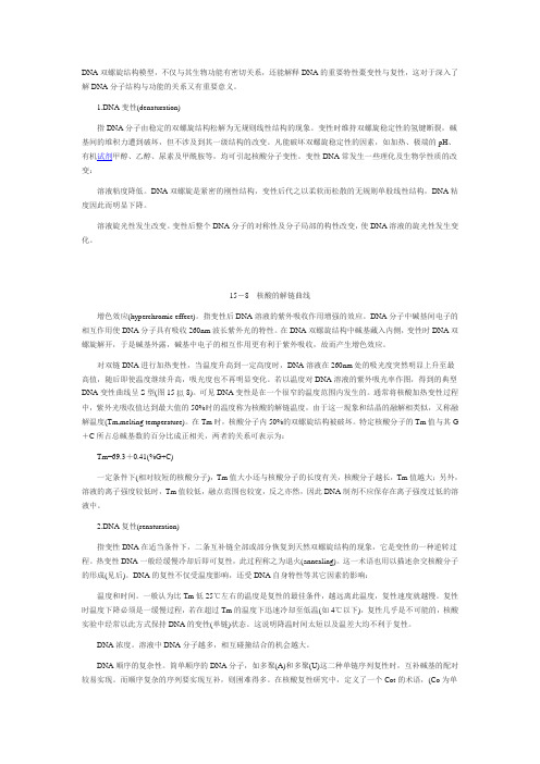 DNA双螺旋结构模型