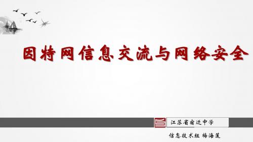 因特网信息交流与网络安全