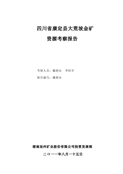 四川省康定县大荒坡金矿资源考察报告