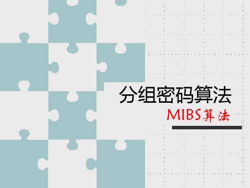 MIBS算法