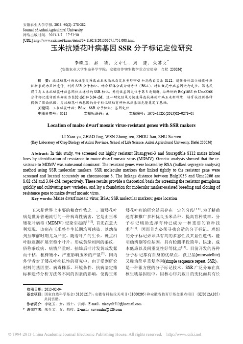 玉米抗矮花叶病基因SSR分子标记定位研究_李晓玉
