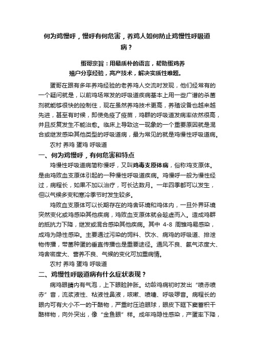 何为鸡慢呼，慢呼有何危害，养鸡人如何防止鸡慢性呼吸道病？