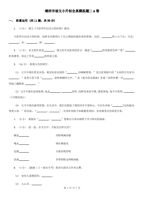 靖西市语文小升初全真模拟题二A卷