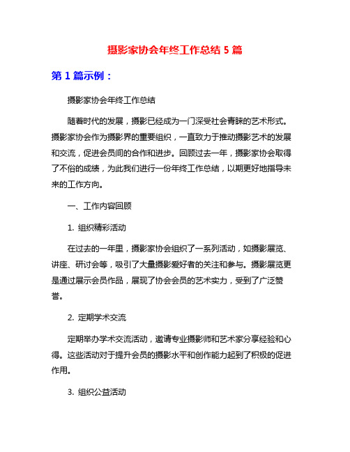 摄影家协会年终工作总结5篇