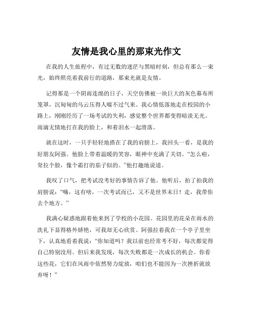 友情是我心里的那束光作文