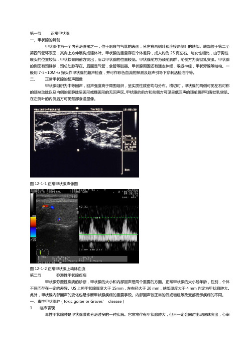 甲状腺和甲状旁腺