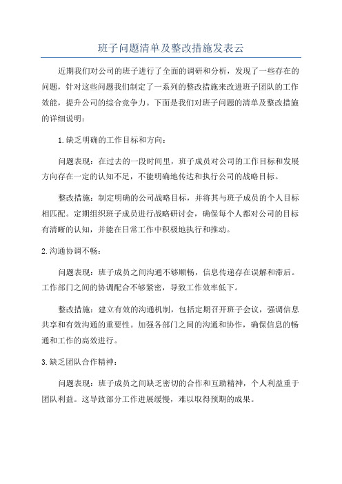 班子问题清单及整改措施发表云