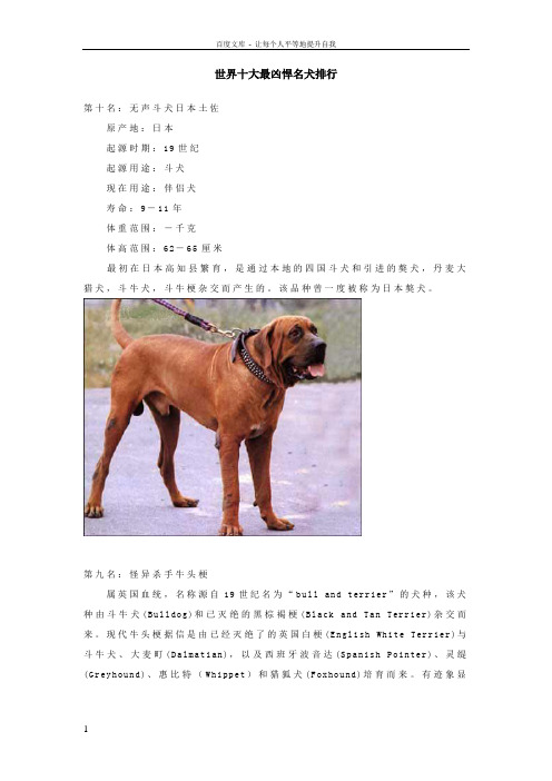 世界十大最凶悍名犬排行