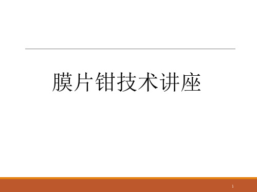 膜片钳实验与技术PPT精选文档