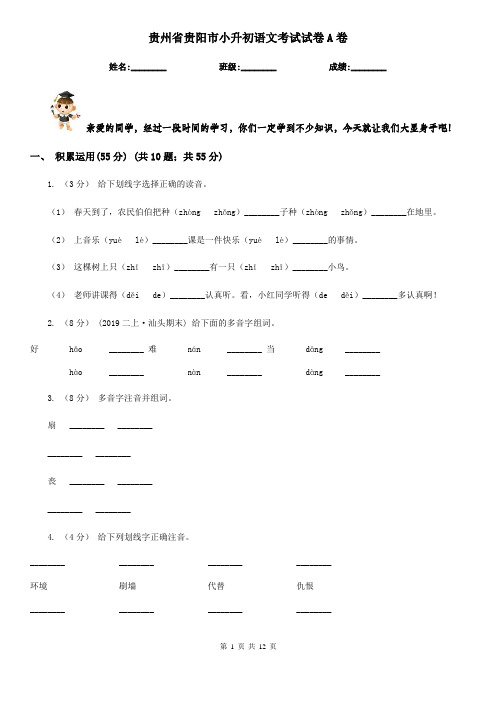 贵州省贵阳市小升初语文考试试卷A卷