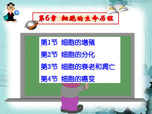 高中生物必修一必修1第六章细胞的生命历程复习教学课件