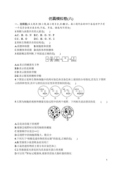 2024年高考生物总复习仿真模拟卷(六)