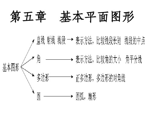 鲁教版数学六年级下册第五章《基本平面图形》复习ppt课件