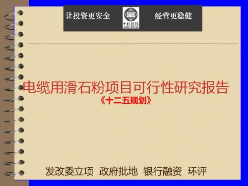 电缆用滑石粉项目可行性研究报告(精)