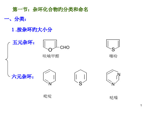 杂环化合物的分类和命名