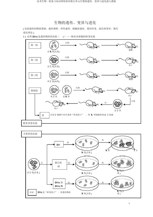 高考生物一轮复习知识网络系列第五单元生物的遗传、变异与进化新人教版