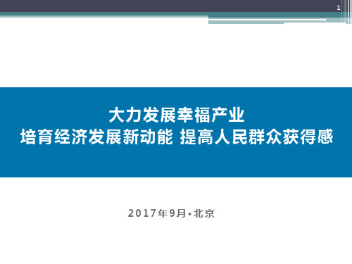 大力发展幸福产业(PPT38页)