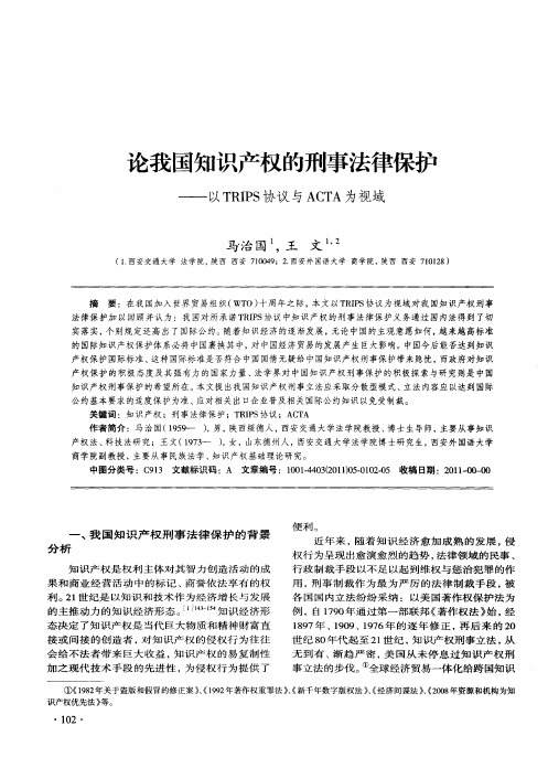 论我国知识产权的刑事法律保护——以TRIPS协议与ACTA为视域