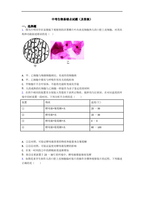 中考生物易错点试题(及答案)