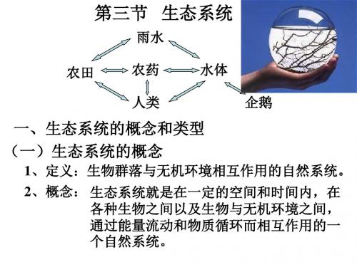 高一生物生态系统的概念和类型