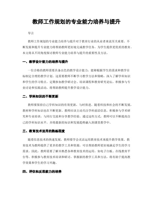 教师工作规划的专业能力培养与提升