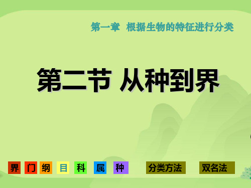 人教版初中生物八上6.1.2 从种到界 课件  (共25张PPT)