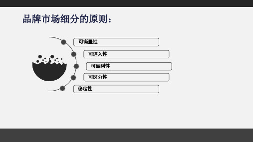 品牌市场细分原则和程序