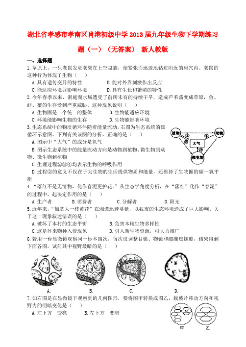 湖北省孝感市孝南区肖港初级中学九年级生物下学期练习题