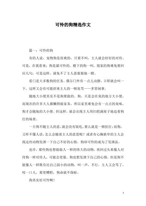 可怜的狗精选作文