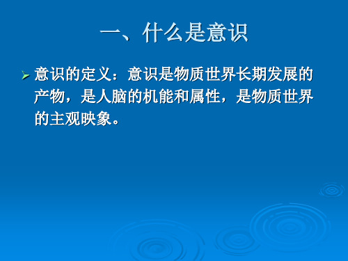 马克思主义基本原理--第一章4 客观规律性与主观能动性